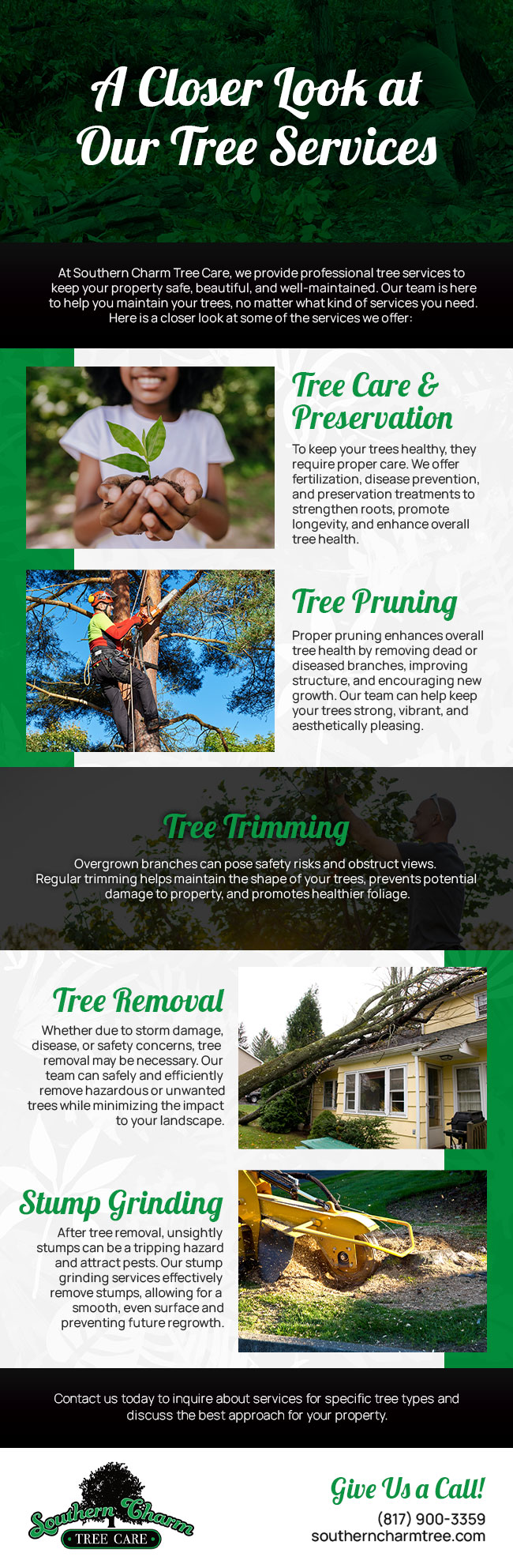 Southern Charm Tree Care