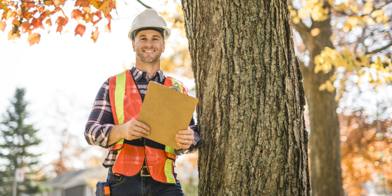 What Can a Certified Arborist Do?